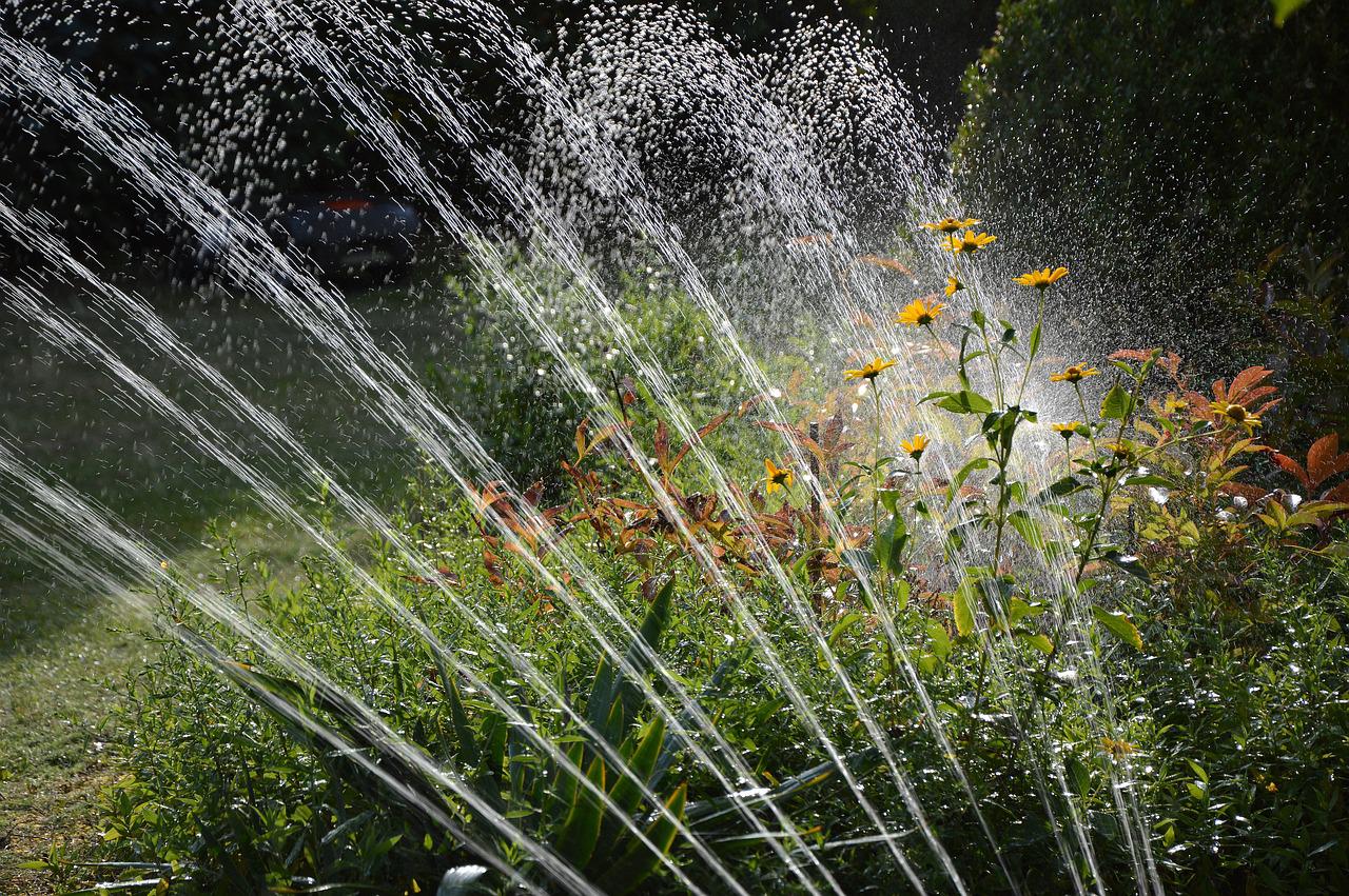 garden, irrigation, water-3664278.jpg