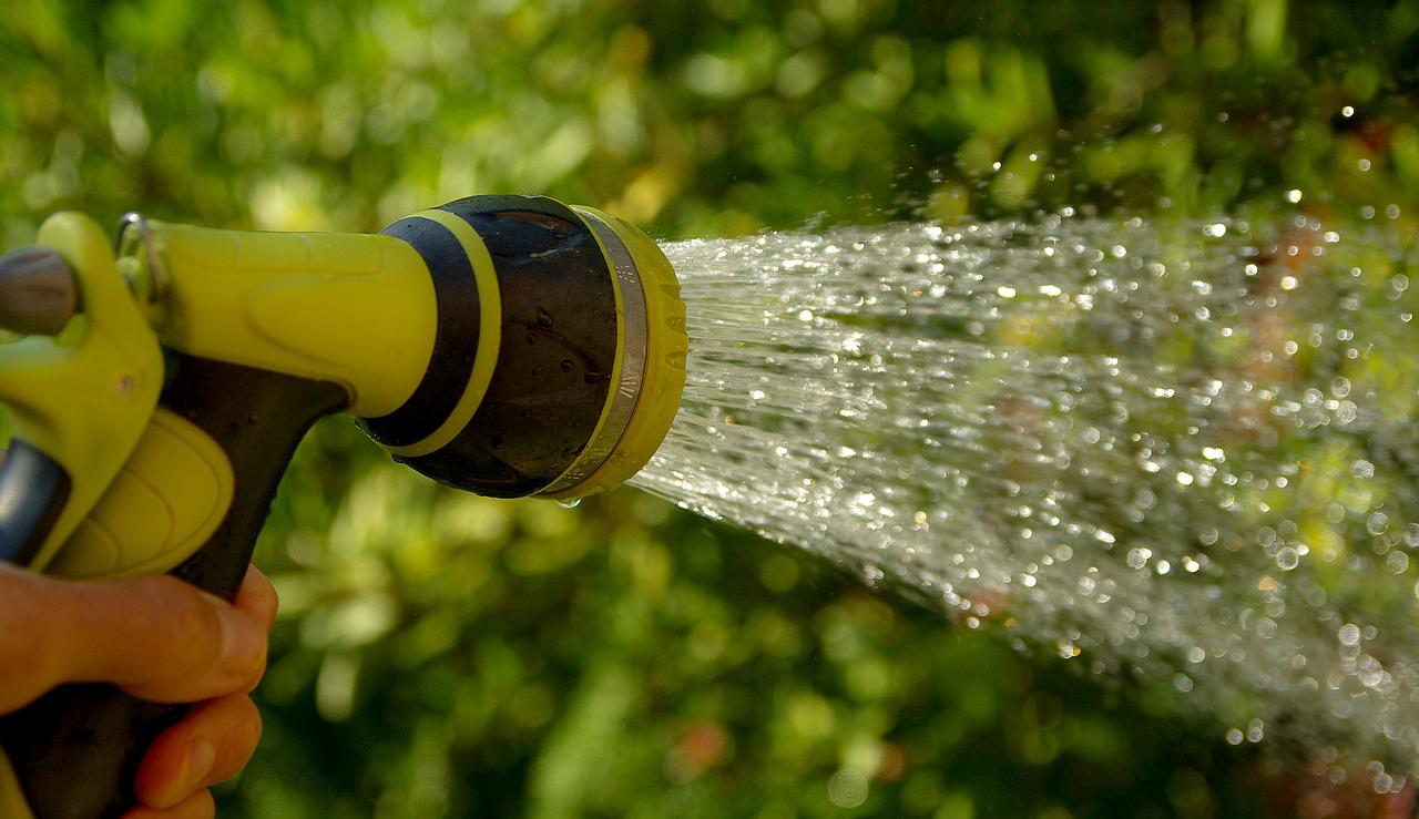 watering, water jet, gardener-1601143.jpg